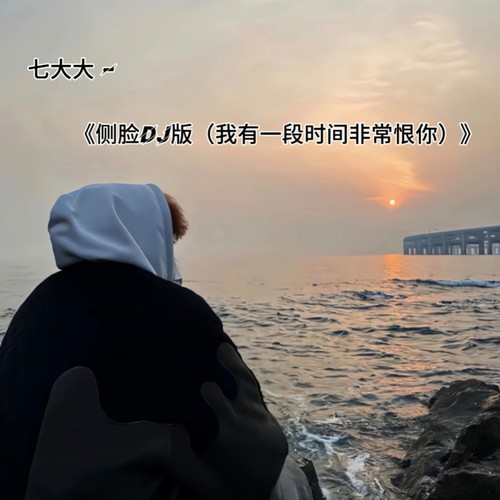 侧脸 (我有一段时间非常恨你) (DJ版)