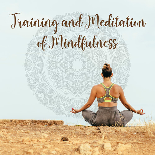 Training and Meditation of Mindfulness