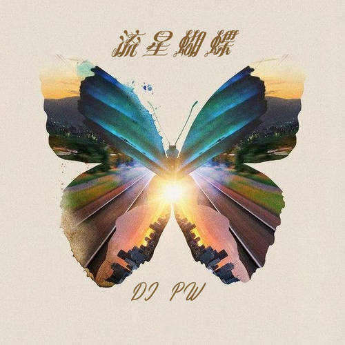 流星蝴蝶 (电音版)