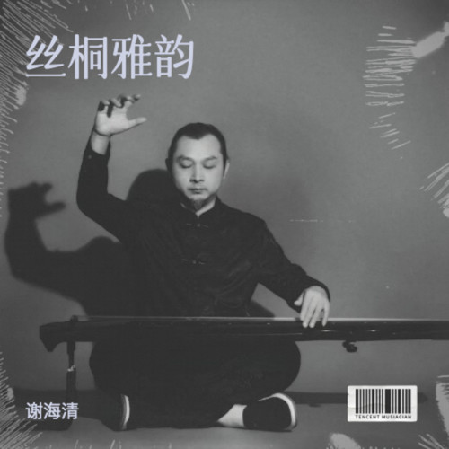 丝桐雅韵