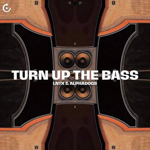 Turn Up The Bass (Extended Mix)