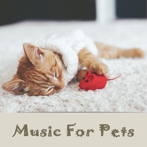 Music For pets : Lullaby Vol. 1