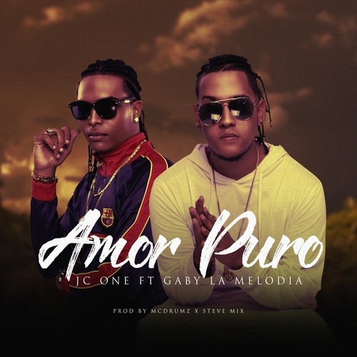 Amor Puro (feat. Gaby la Melodia)