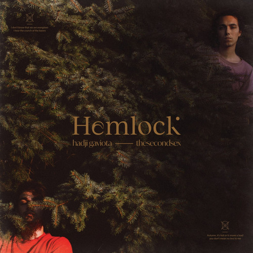 Hemlock