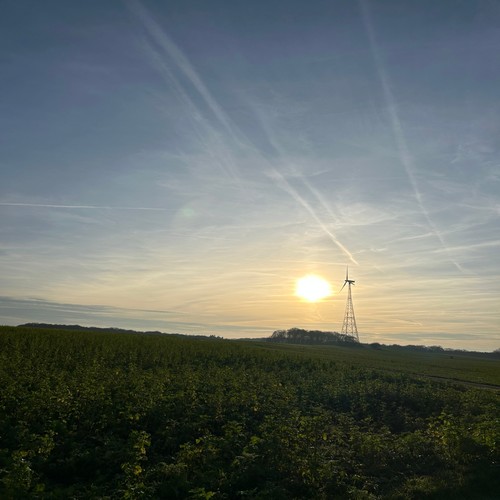 Sometimes I wonder why