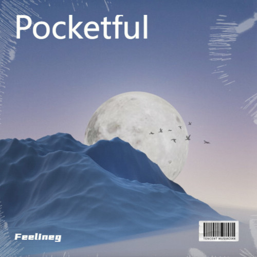 Pocketful