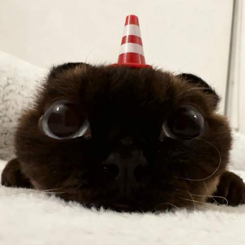 厌倦了吵架厌倦了迷人的谎话