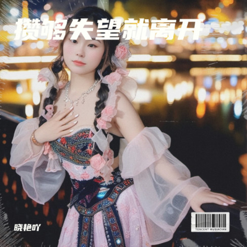 攒够失望就离开