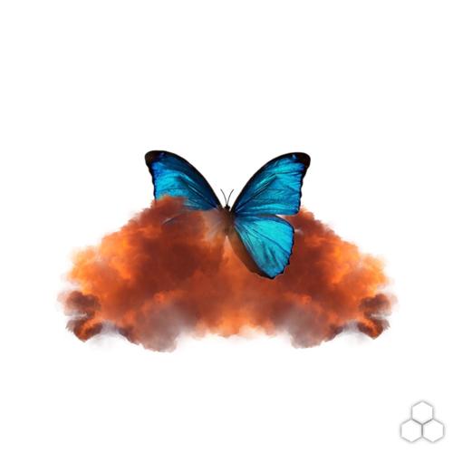 Something From Nothing