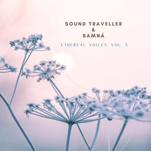 Ethereal Voices, Vol. 5