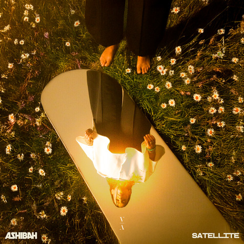 Satellite