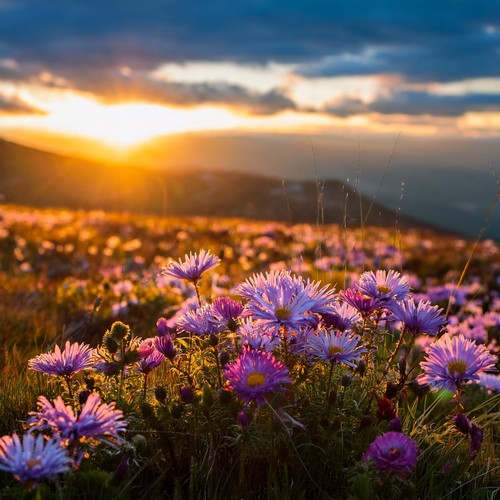 Música Tranquila: Melodías Suaves Para Relajarse