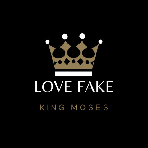 Love Fake (Explicit)
