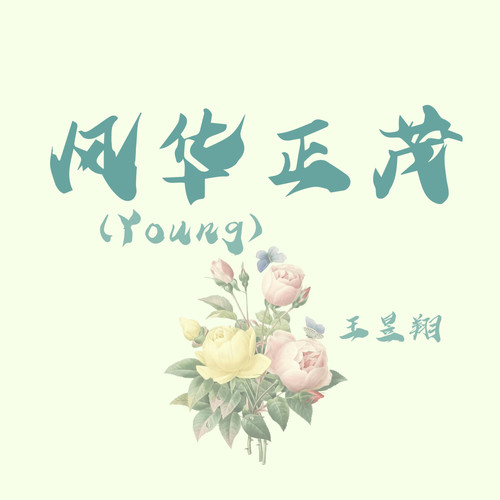 风华正茂 (Young)