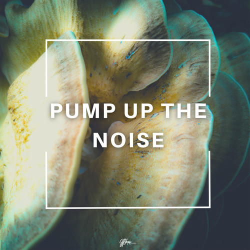 Pump up the Noise