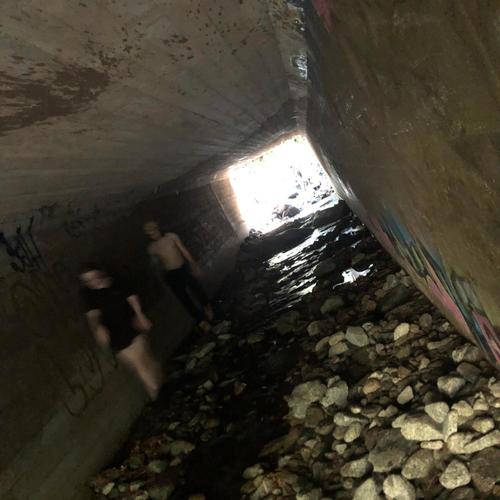 I've Made a Severe Lapse of Judgement (Explicit)