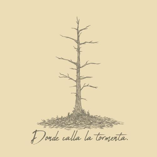 Donde calla la tormenta