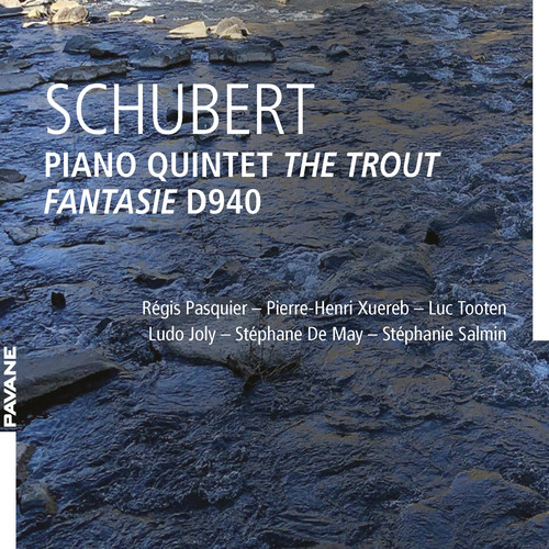 Schubert: Piano Quintet The Trout, Fantasy D940