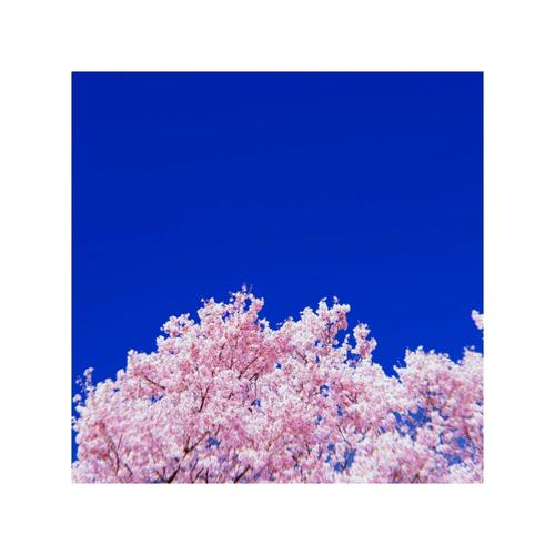 What If You Fly? (feat. Nate Quest) [Explicit]