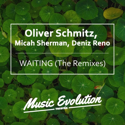 Waiting (The Remixes)