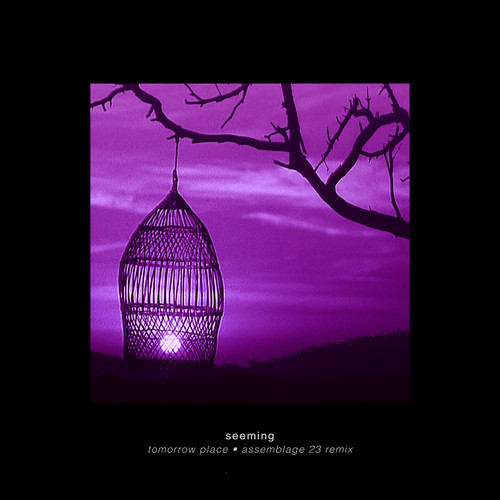 Tomorrow Place (Assemblage 23 Remix)