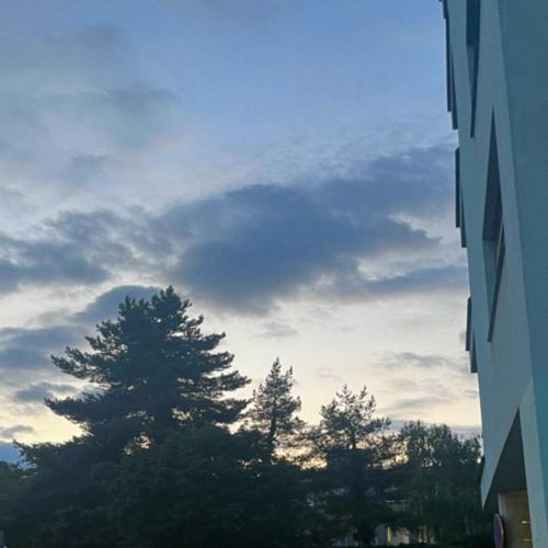 saint. (feat. 5sins & pacient555) [Explicit]