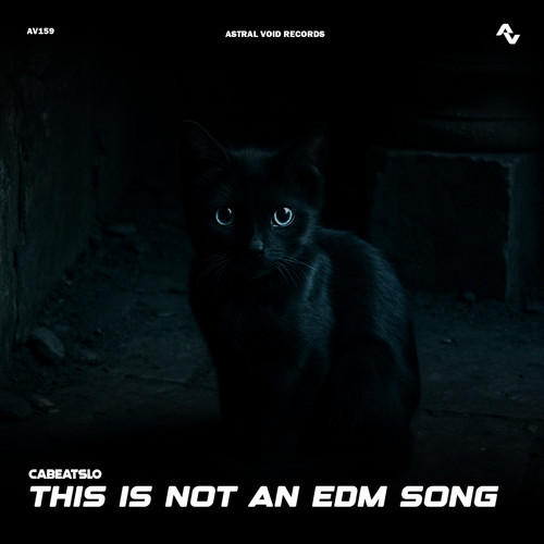 This Is Not An EDM Song
