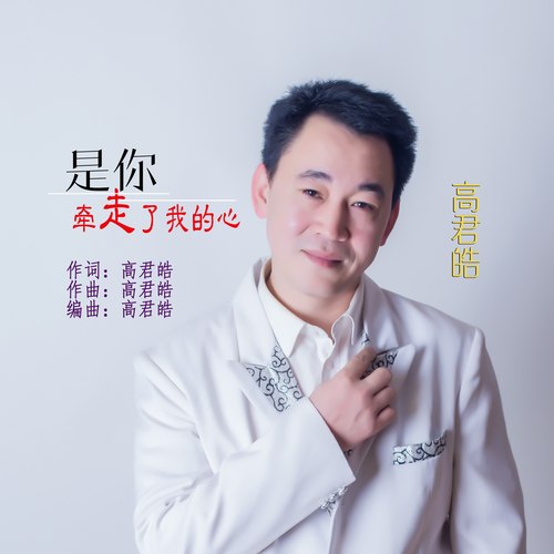 是你带走了我的心