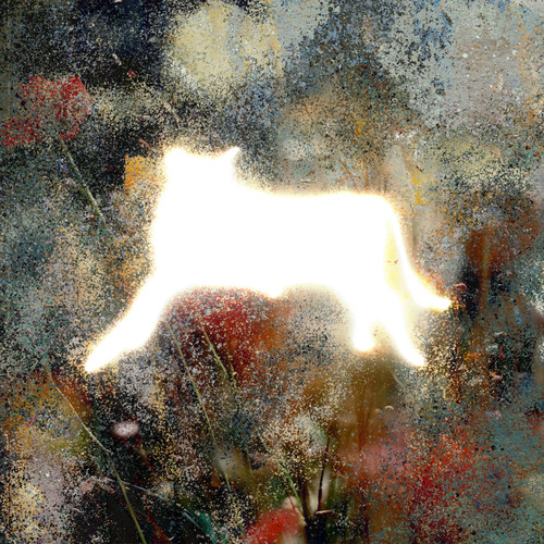 Glare of the Beer Can