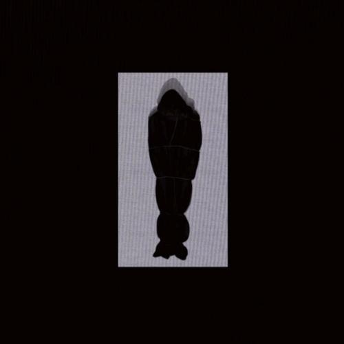 DO NOT RESUSCITATE (feat. knifefvght & Wxlf) [Explicit]