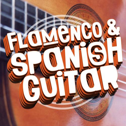 Flamenco & Spanish Guitar