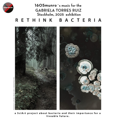 Rethink Bacteria Exhibition