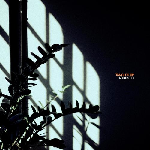 Tangled Up (Acoustic)