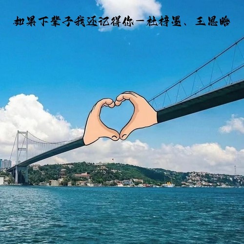 如果下辈子我还记得你