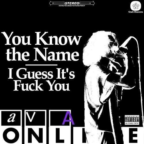 You Know the Name/I Guess It's **** You (Explicit)