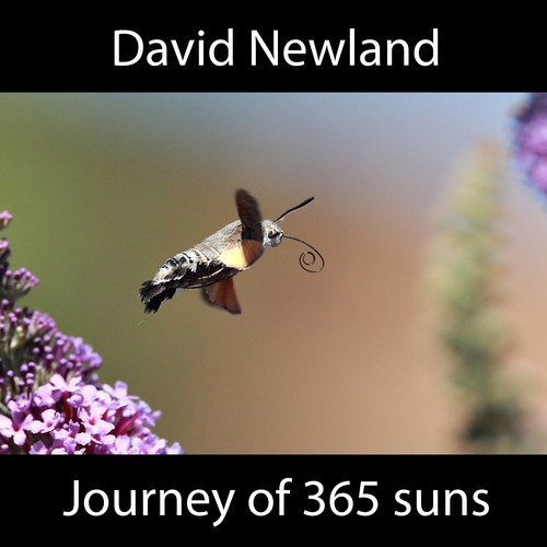 Journey of 365 suns