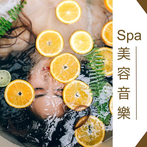 Spa美容音乐 - 最安静的安静歌曲，大自然音和森林音乐