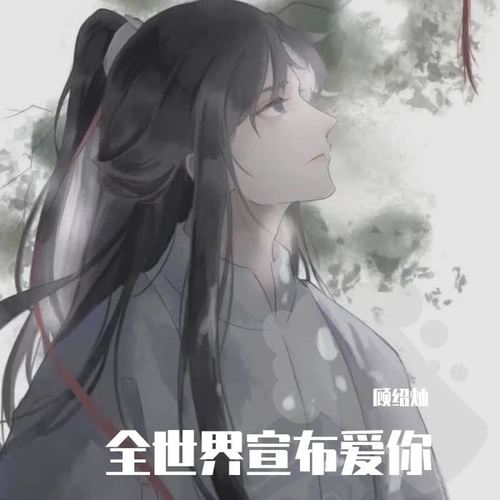 全世界宣布爱你