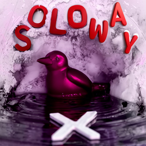 Soloway X