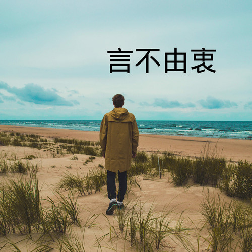 言不由衷