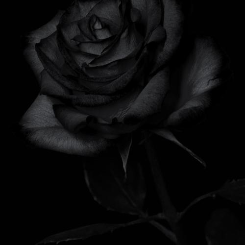 Valentine Is You Mine Pt.2 (reloaded)