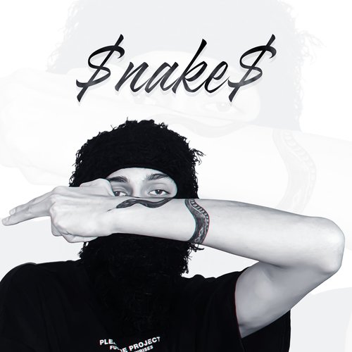 snakes (Explicit)