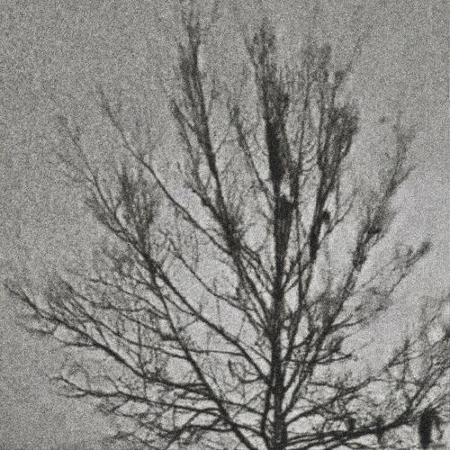 can you see me (winter)