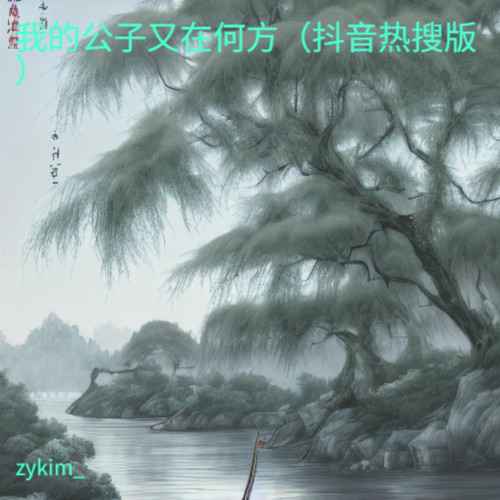 我的公子又在何方（抖音热搜版）