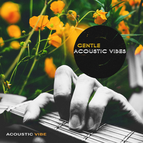 Gentle Acoustic Vibes