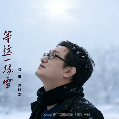 等这一场雪