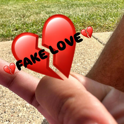 Fake Love (feat. yehlsa) [Explicit]