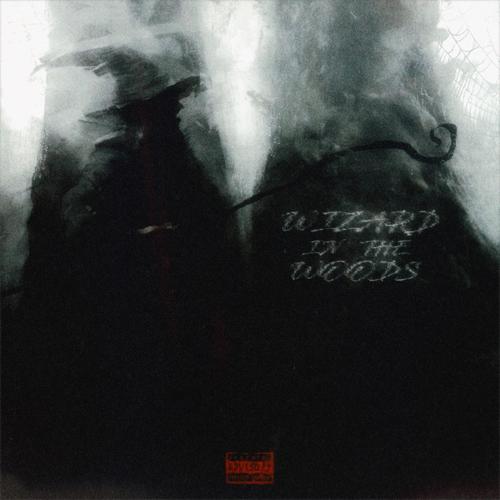Wizard In The Woods (Explicit)