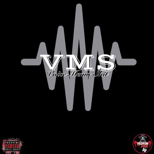 (VMS) Voice Memo **** [Explicit]