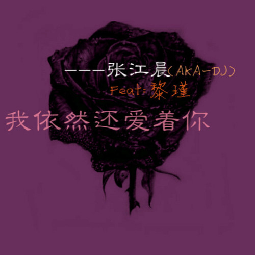 我依然还爱着你Remix